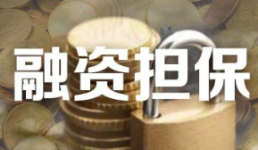 融资担保公司监督管理条例